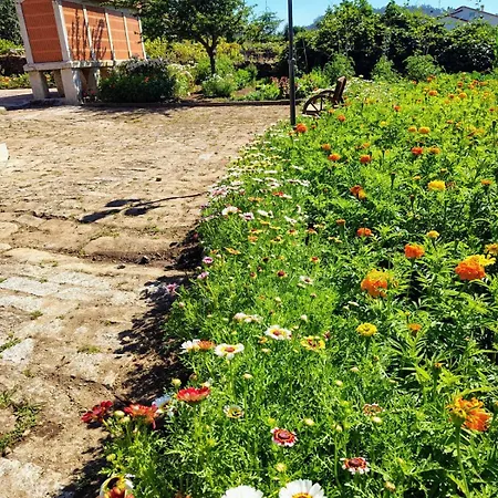 Vakantiehuis Casa Folhas Novas