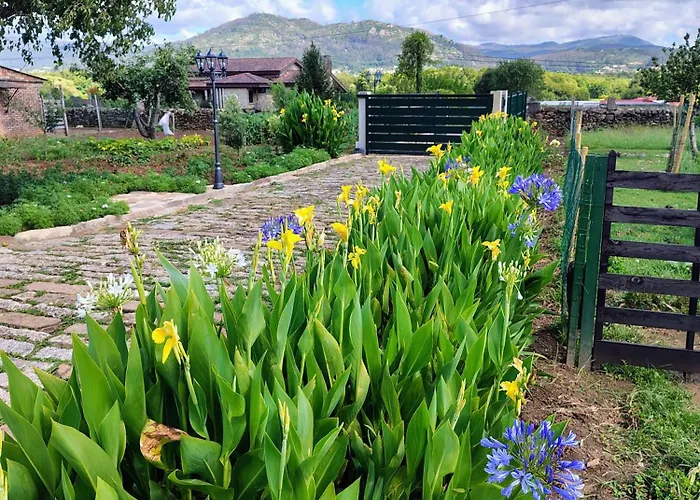 Casa Folhas Novas * Tabagon