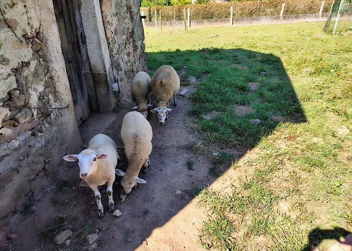 Casa Folhas Novas Σπίτι διακοπών